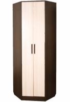 Фото raspashnoy-shkaf шкаф диана-4 №7 (85) угловой производитель Росток