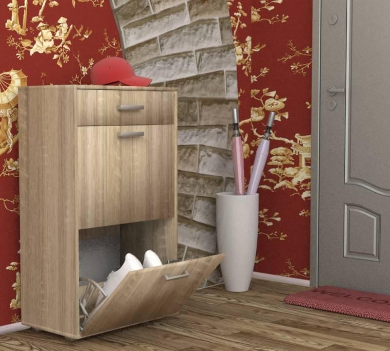 Фото Обувница ОБ-2 от производителя Пирамида в Судаке по цене 5 060 ₽