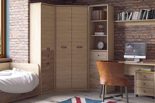 Фото Шкаф 2D1S/D1 Дизель (Diesel) от производителя Анрэкс в Судаке по цене 16 500 ₽