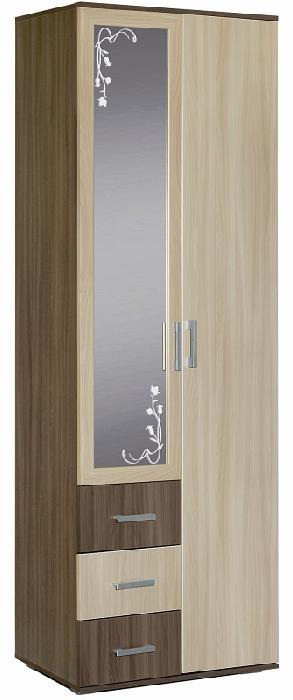 Шкаф Альтернатива (80) двухдверный (ясень шимо темный, ясень шимо светлый-ясень шимо темный,(Мебель Маркет))