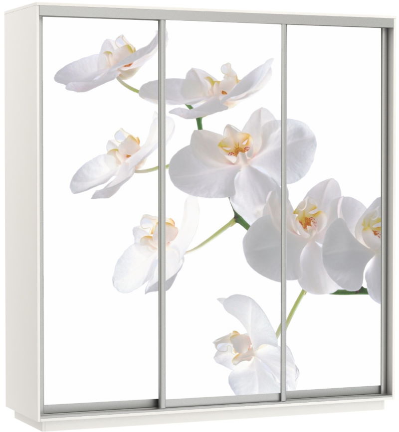 Фото Шкаф-купе Экспресс Трио Фото (2,4х0,6х2,4 - 3 двери) от производителя Мебельная компания Е1 в Судаке по цене 63 870 ₽