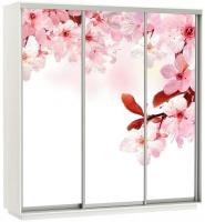 Фото shkaf-kupe-s-fotopechatyu шкаф-купе экспресс трио фото (2,1х0,6х2,2 - 3 двери) производитель Мебельная компания Е1